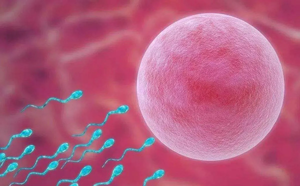 格鲁吉亚第三方辅助生殖费用多少钱